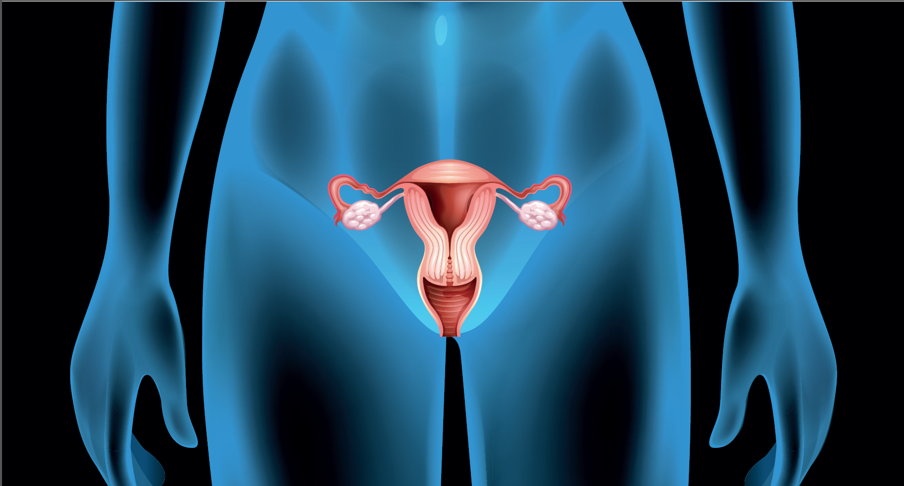 IVF ICSI Artpred